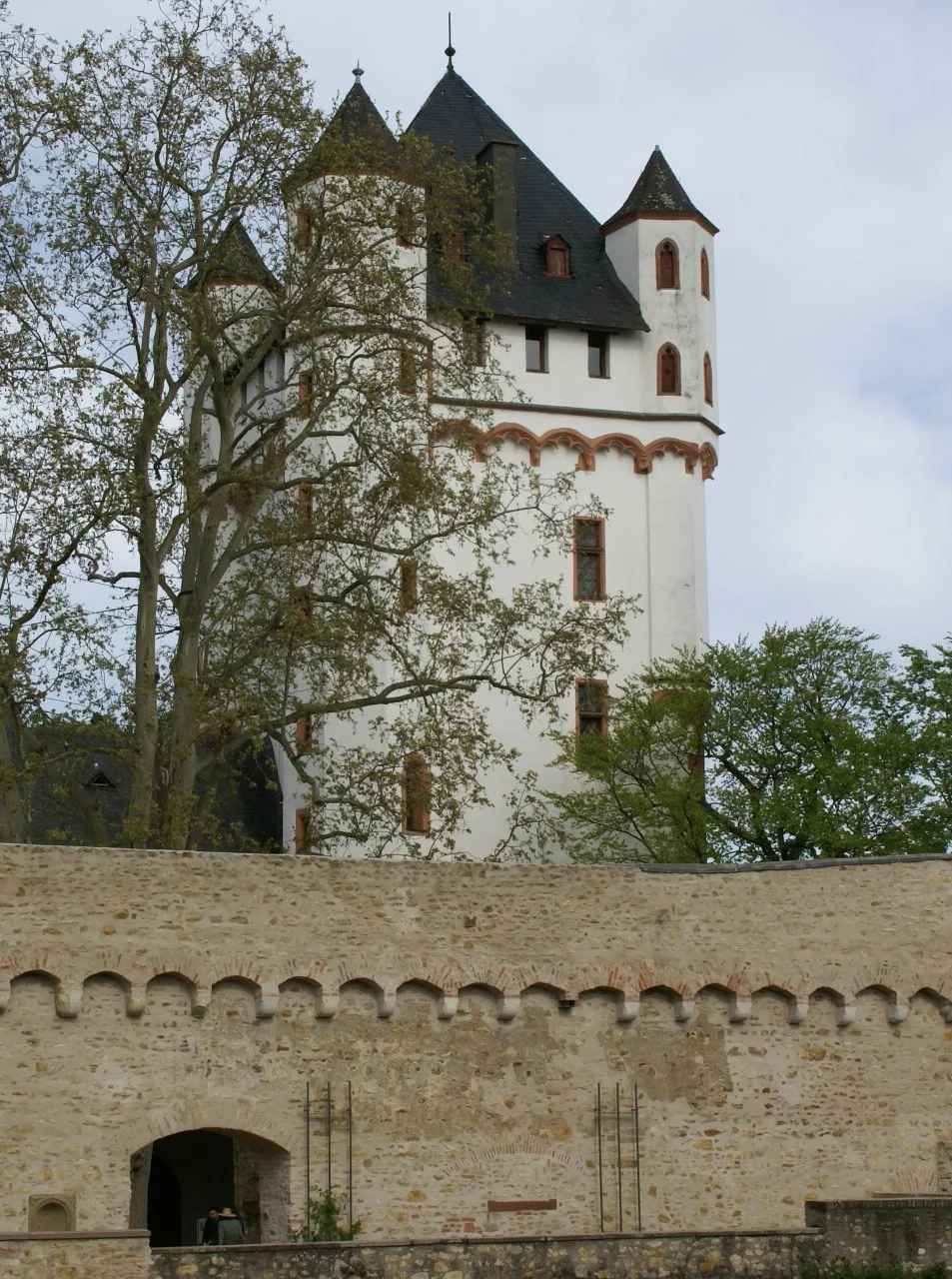 Kurfürstliche Burg mit historischer Stadtmauer in Eltville