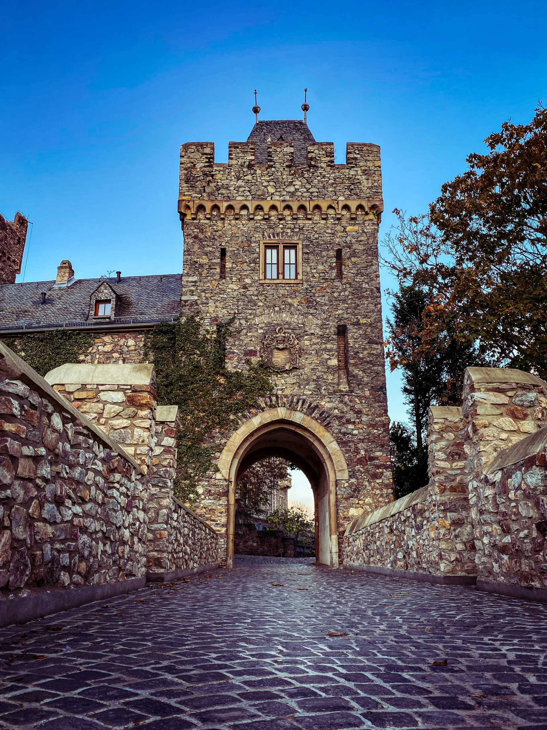 Burg Klopp über der Stadt Bingen am Rhein